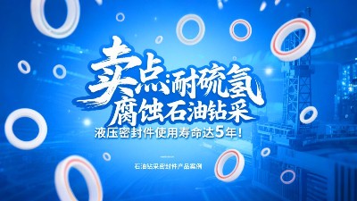 賣點?：耐硫化氫腐蝕！石油鉆采液壓密封圈使用壽命達5年！