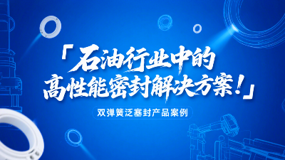 ?雙彈簧泛塞封產品案例 ? 石油行業中的高性能密封解決方案！?