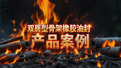 雙唇型骨架橡膠油封產(chǎn)品案例丨軸用密封大揭秘！高溫200℃下，憑啥成“防漏王者”？?