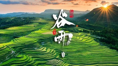 <i style='color:red'>谷雨</i>：春天的結(jié)束，生機的開始！